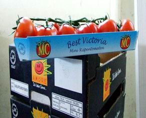 Fruit & Vegetable Box