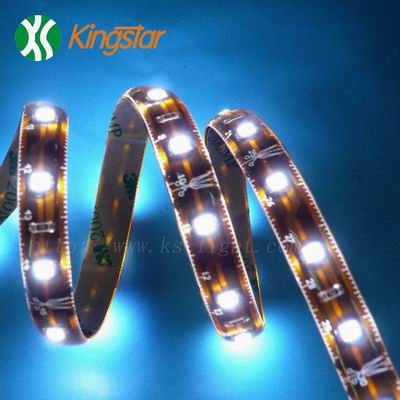 IP68 led strip light  24 LEDS