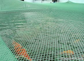 pond net