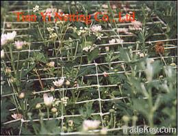 planting net