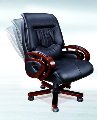 director chair