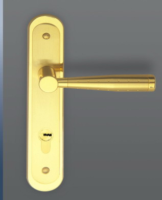 Gate Door Lock