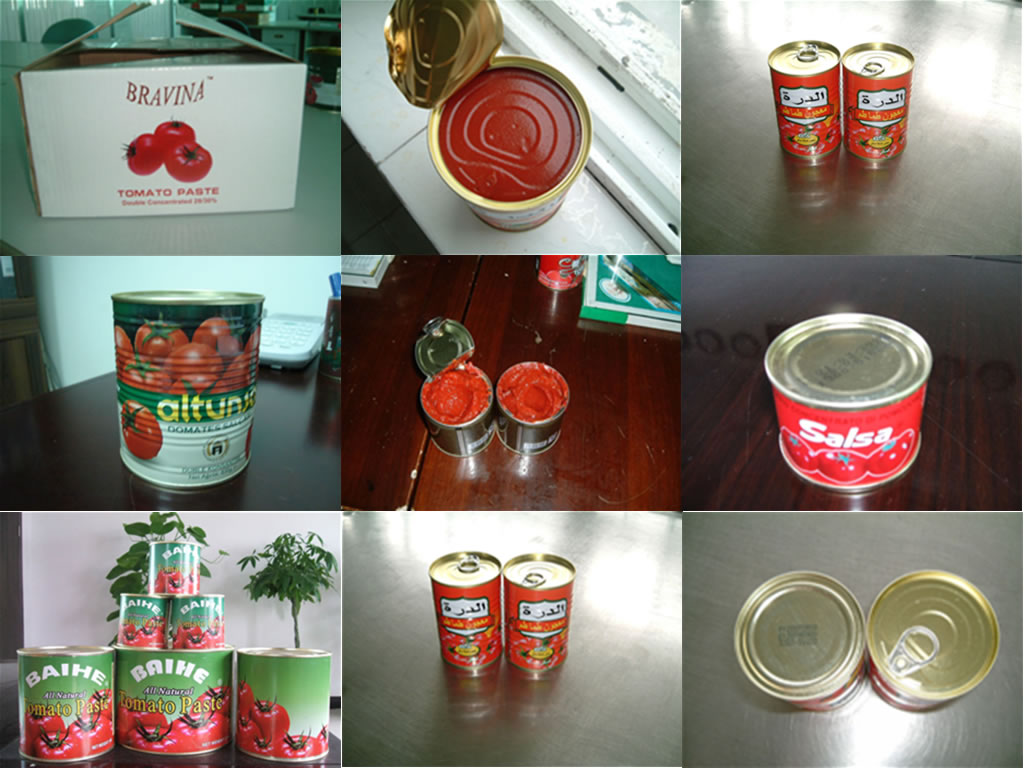 Tomato Pastes