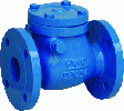 Check Valves