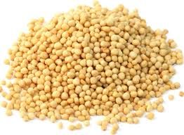 White Mustard Seeds