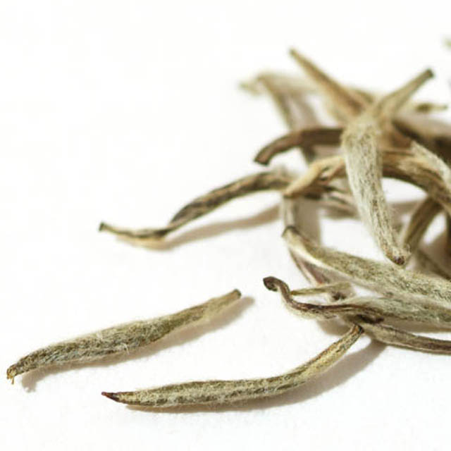 Silver Needle White Tea