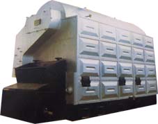 palm-shell fired boiler