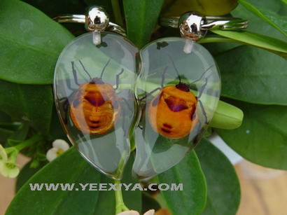 Insect Amber Keychains