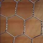 Hexagonal wire mesh