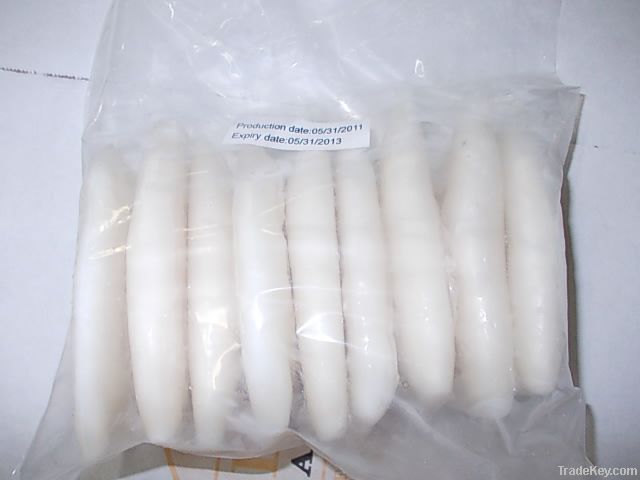 frozen squid tube