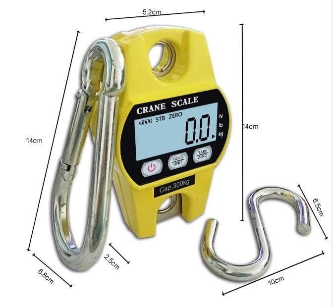 FCS-MN mini crane scale