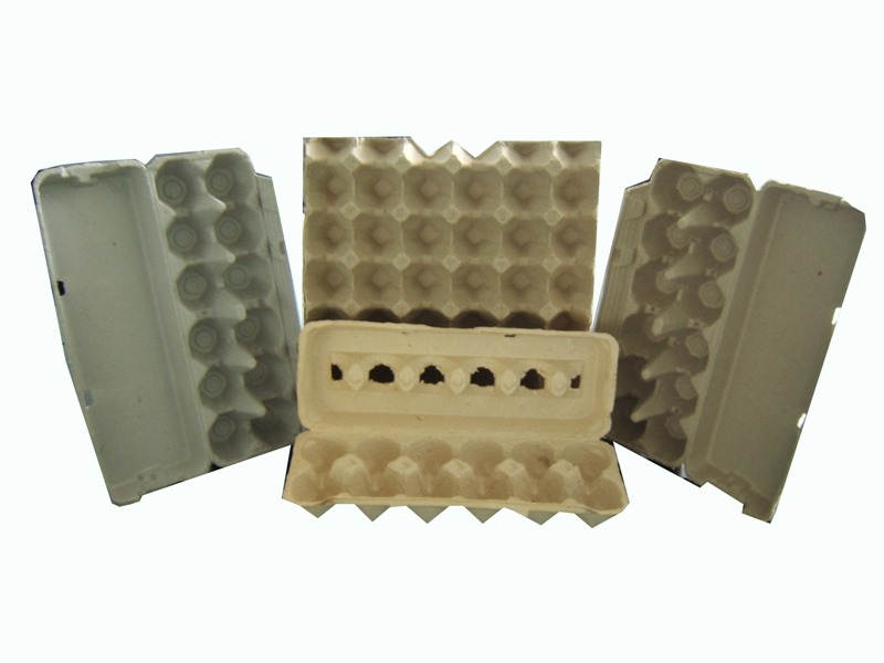 Pulp Mold Product----Egg Tray