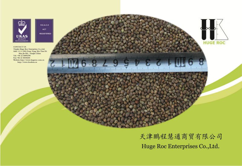 hemp seeds different size