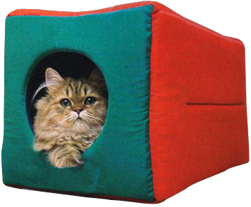 Cat House