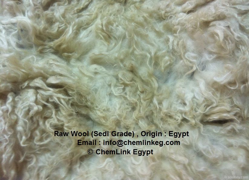 Back Washed Egypt Wool