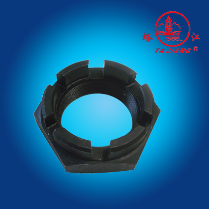 DIN935 slotted nut