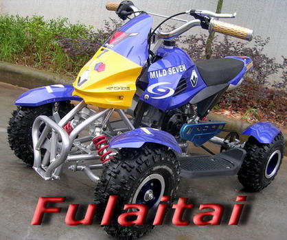 Mini ATV/Mini Quad/Quad Bike