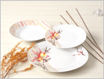 Porcelain   Dinnner  Sets