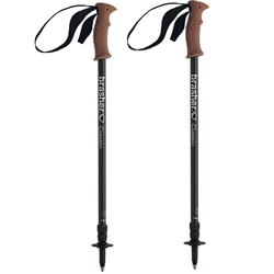 nordic walking pole