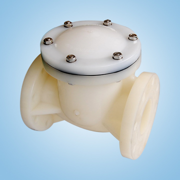 Plastic Swing Check Valves