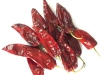 red chilli