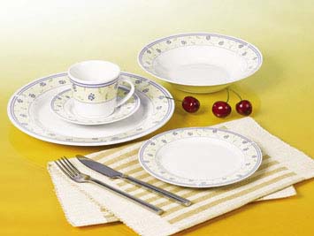 20 pcs dinner set