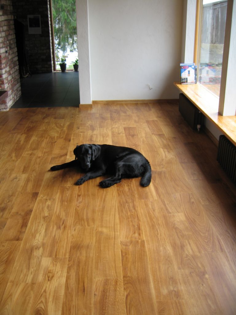 solid oak flooring