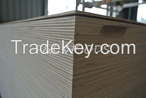 plywood