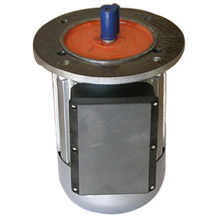 YL Series Electric Motor B5 Flange Motor