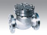 Swing Check Valve