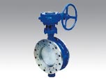 Butterfly Valve