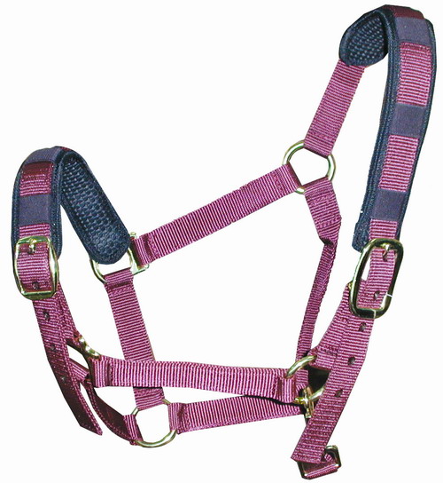 horse halter