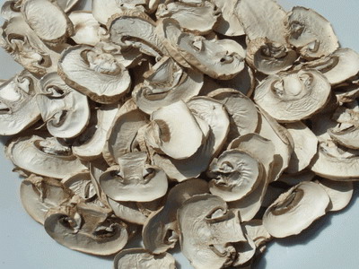 dried mushroom