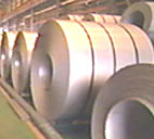 Stainless Steel Coil