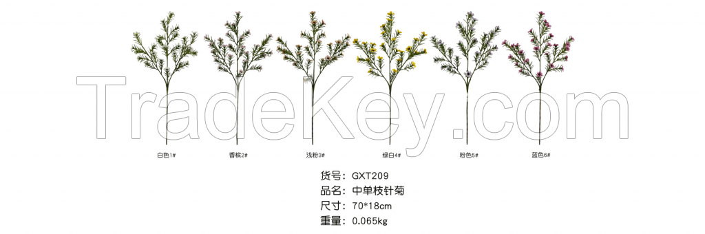 Medium Stem Needle-leaved Chrysanthemum