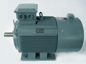 Y2 Series electric Motor