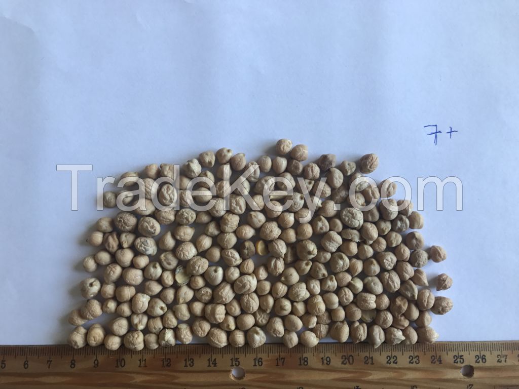 Chickpeas