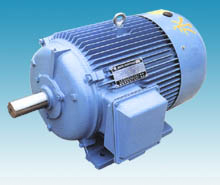 TNYC Series Three-phase Permanent Magnet Synchronous Electric Motor