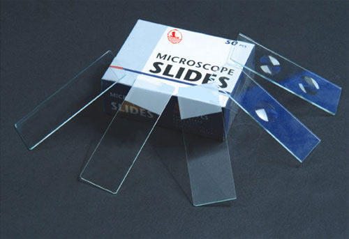 Color Frosted Microscope Slides