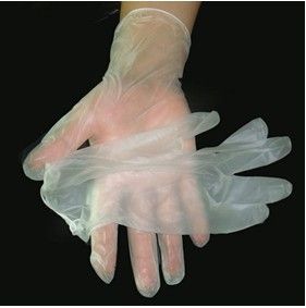 disposable PVC glove, powdered and powdered-free with CE& ISO