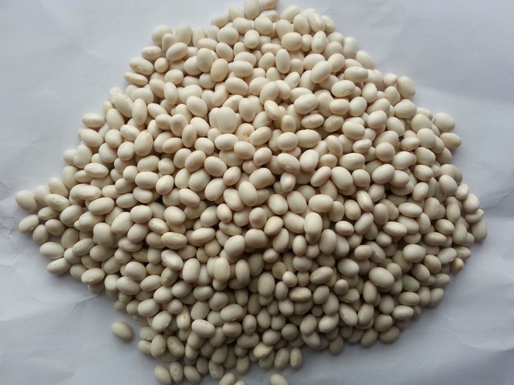 White Pea Beans