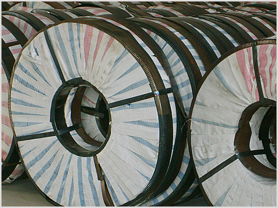 Hot Rolled Steel Strip