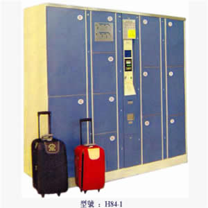 Electronic Luggage Locker System