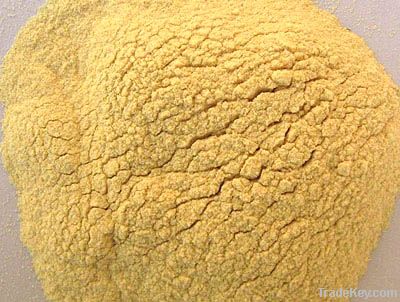 bitter gourd powder