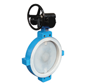 Butterfly Valve