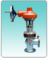 Globe Valve