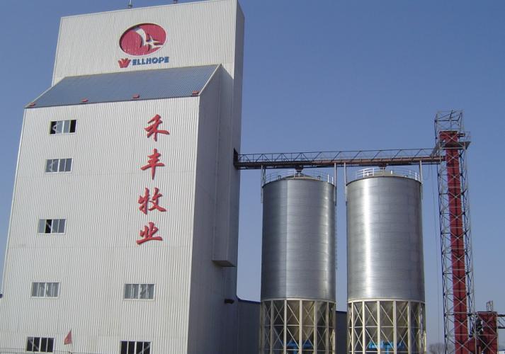 Grain storage steel silo