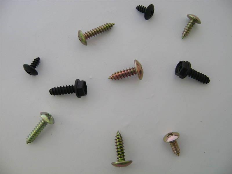 Self Tapping Screw