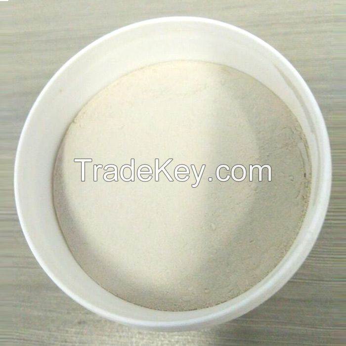 Sodium Carboxy Methyl Cellulose