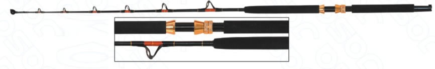 Boat rods/carp rods